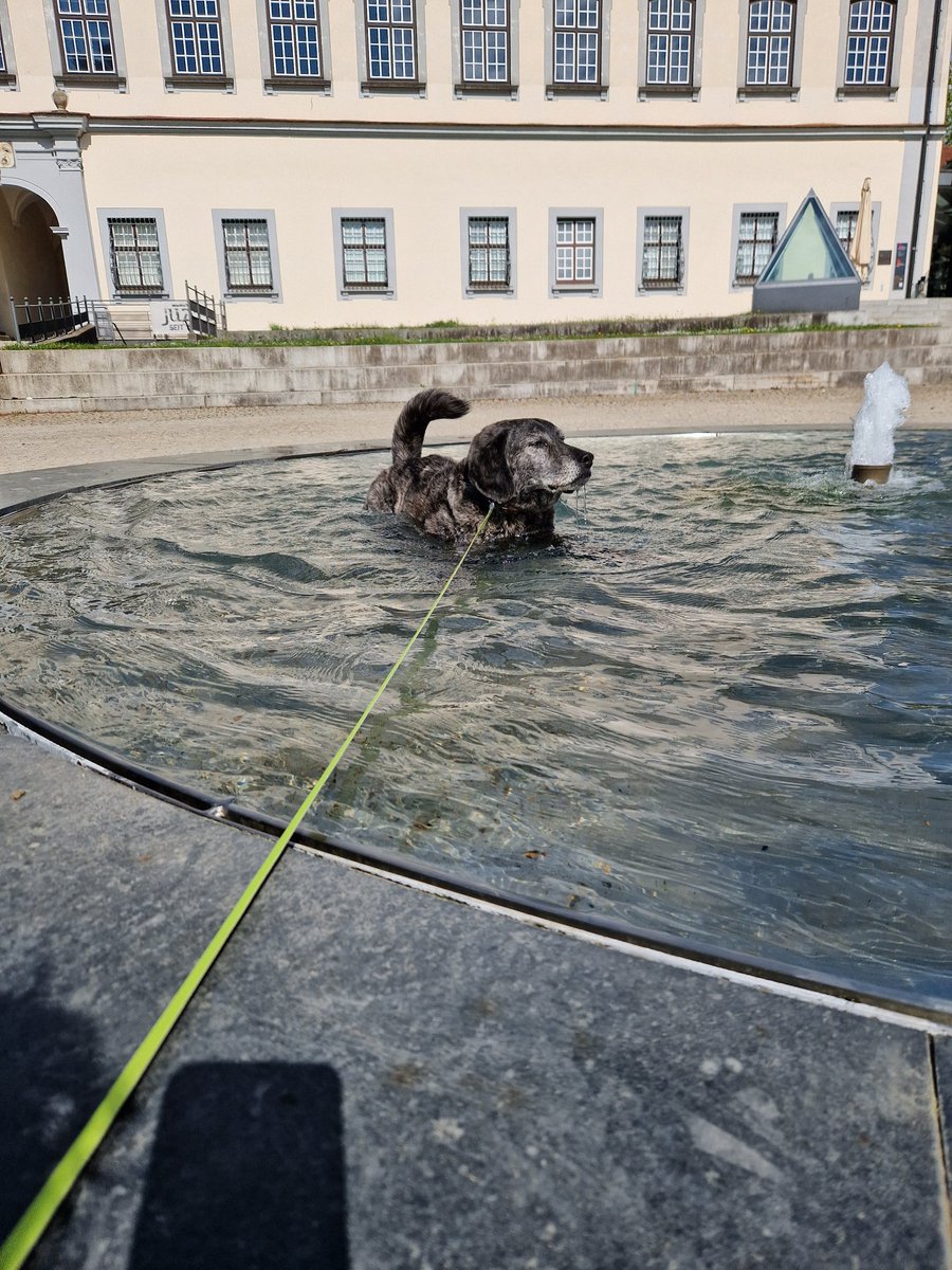 Gestromter Yoshi tweet media