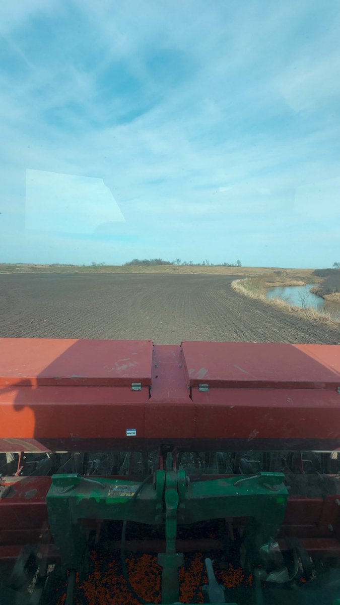mdwst_muse's tweet photo. Poverty grass going in the ground! 🌾 https://t.co/ija4ijhHMF