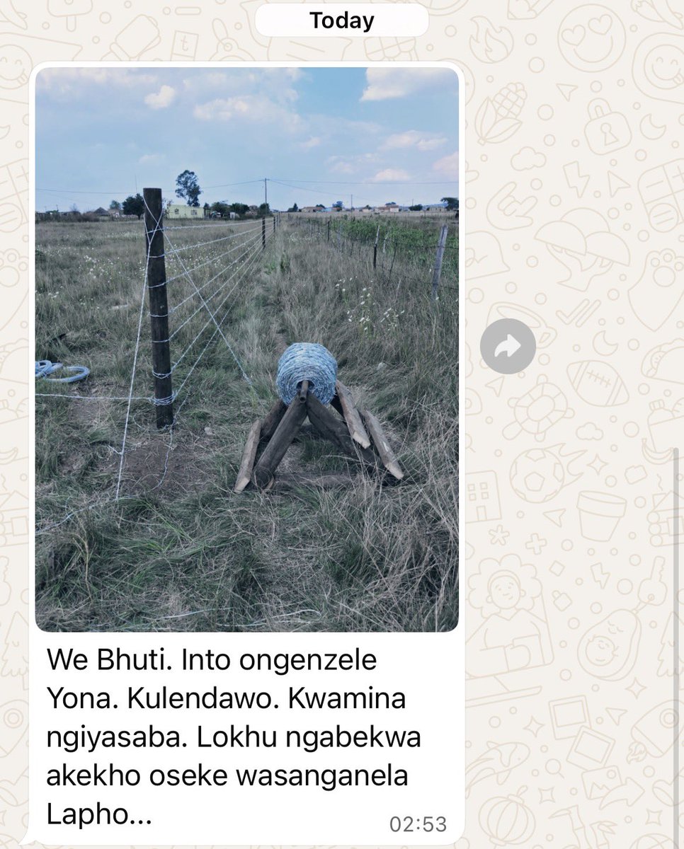 Siboniso KaMabaso tweet media