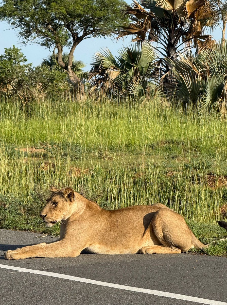 CHARLES RWOMUSHANA tweet media