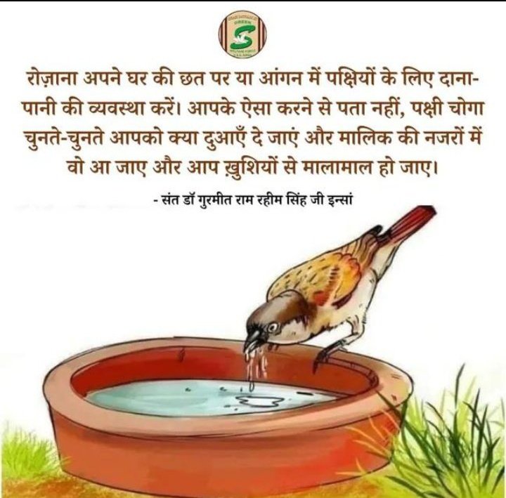 itz_insan_'s tweet photo. In hot summers, birds and animals suffer silently. Keep water and grains outside to help them survive. Even a small act of kindness matters. Saint Dr Gurmeet Ram Rahim Singh Ji Insan inspires us to care for all living beings.
#HelpOthers 
#ServeHumanity 
#KindnessMatters https://t.co/NJxkHMRruM