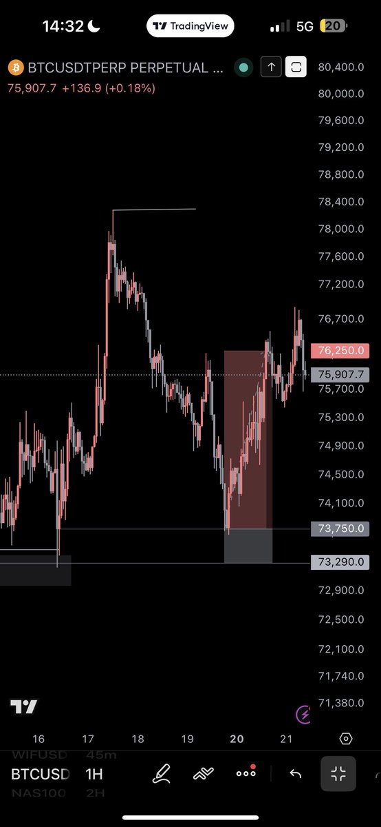 Freda🩶 tweet media