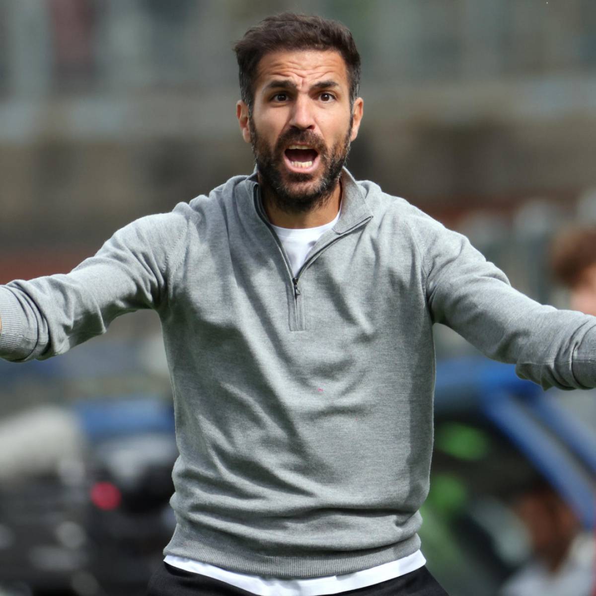 solofichajes123 tweet media