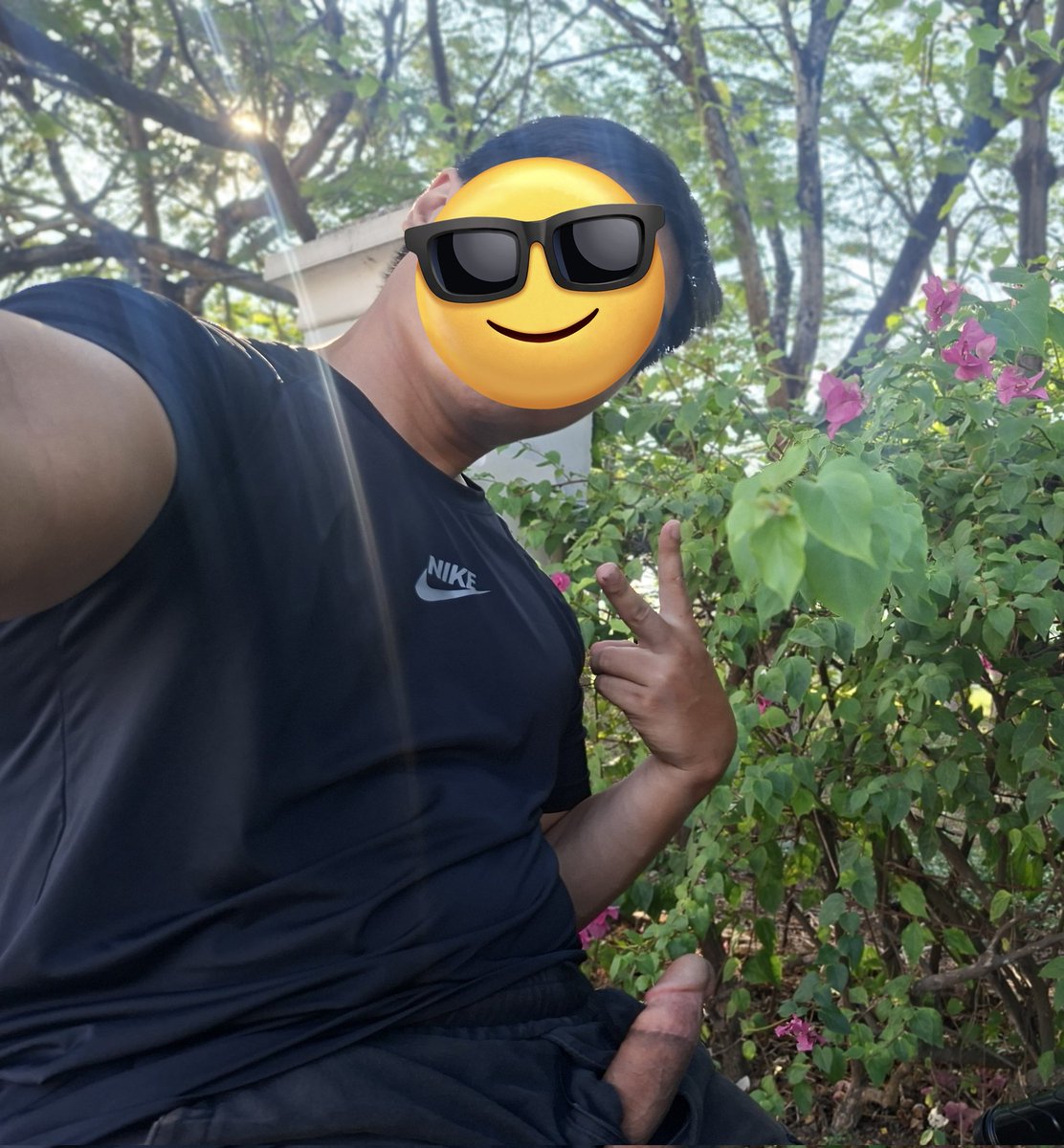 Bisexual sinh viên cá heo tweet media