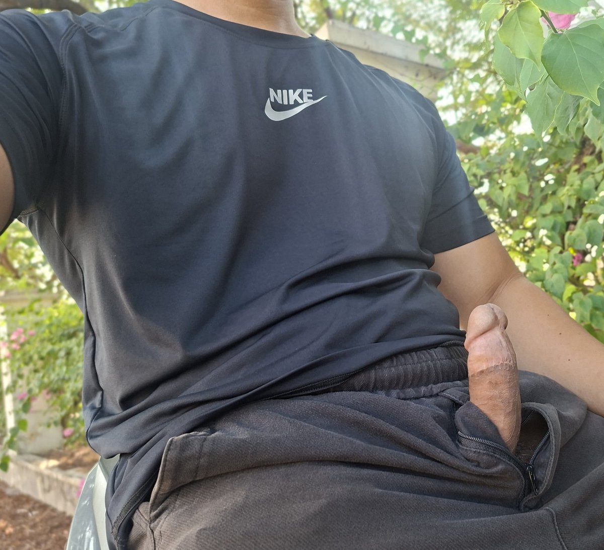 Bisexual sinh viên cá heo tweet media