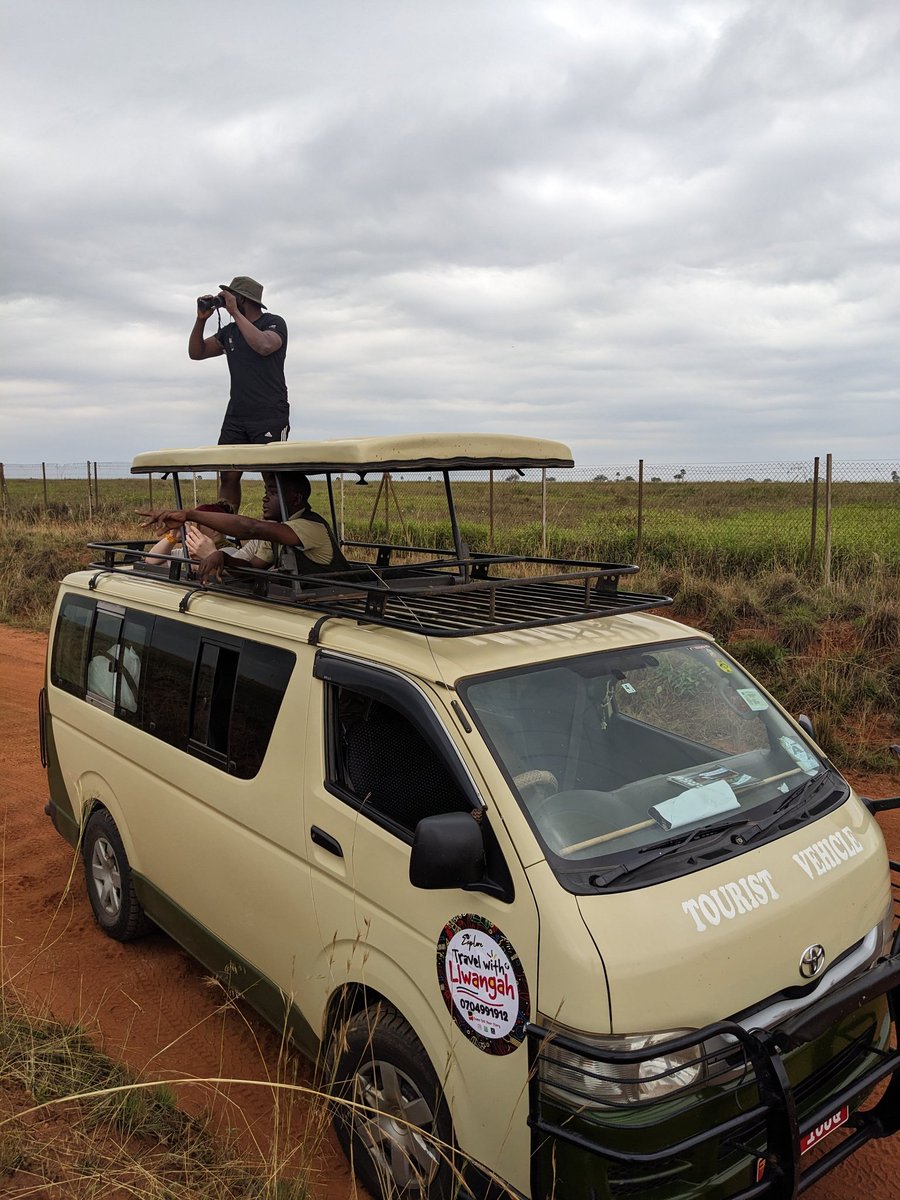 Travel with Llwangah tweet media