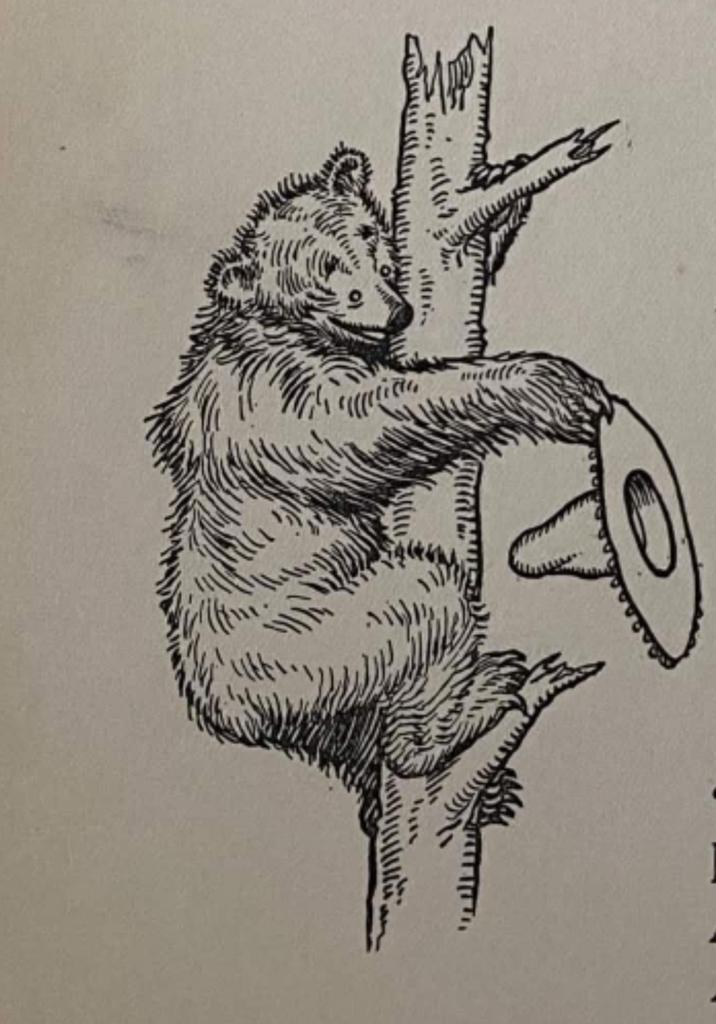 FUZZY_MAN123's tweet image. Hats of to the #xrpl #mascot $fuzzy