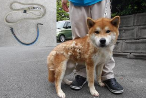 くるみmama tweet media