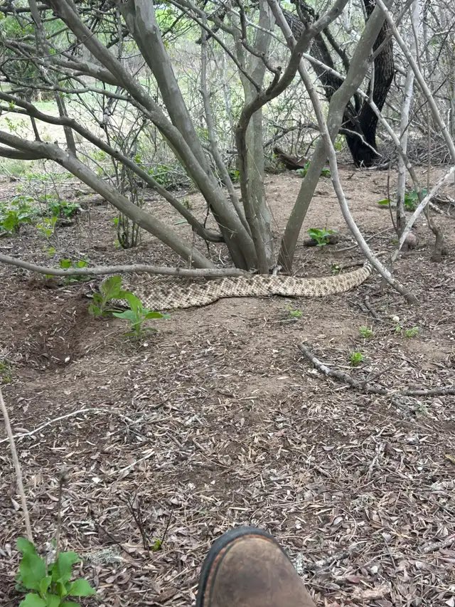 Old Row Outdoors tweet media