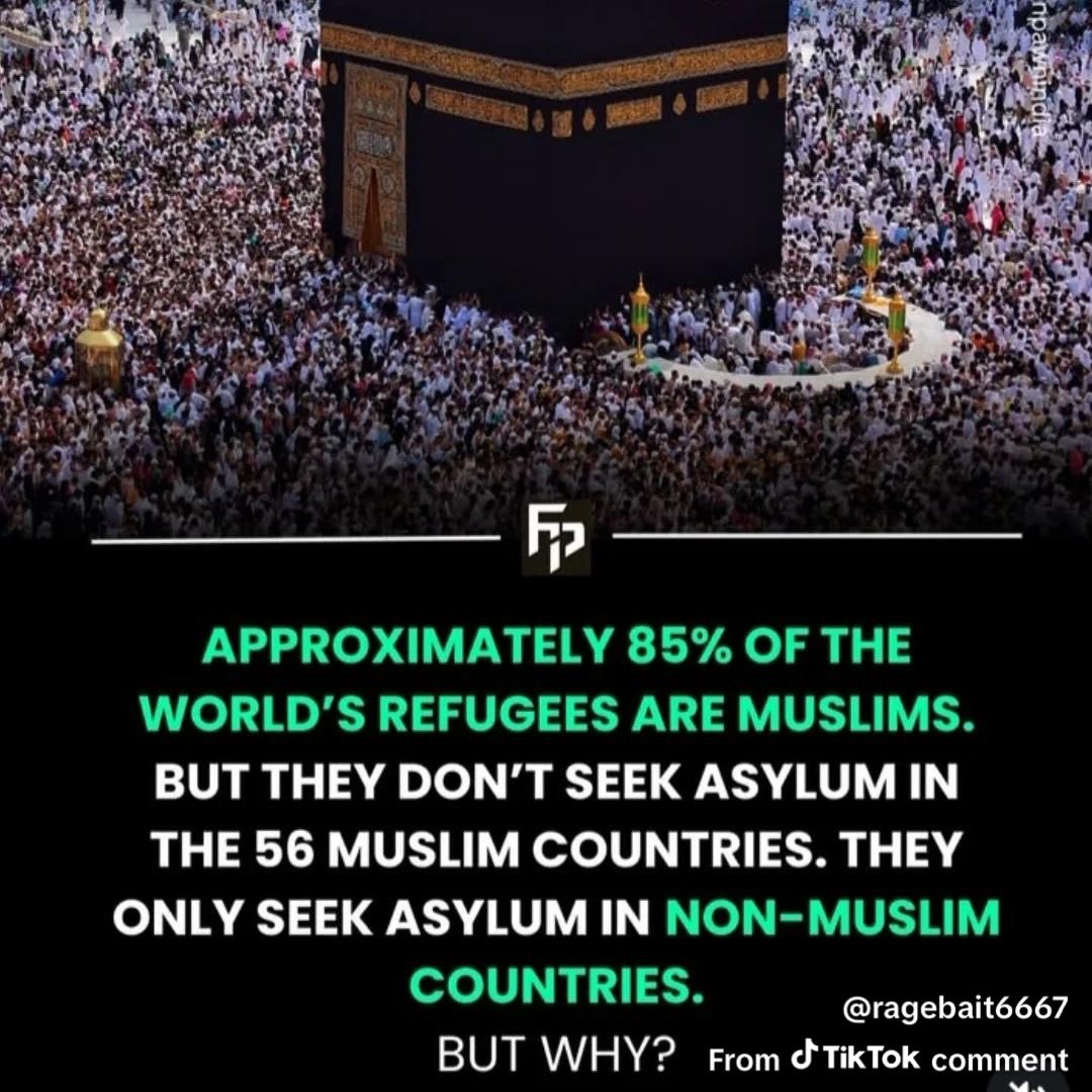Fuhgeddaboudit News tweet media