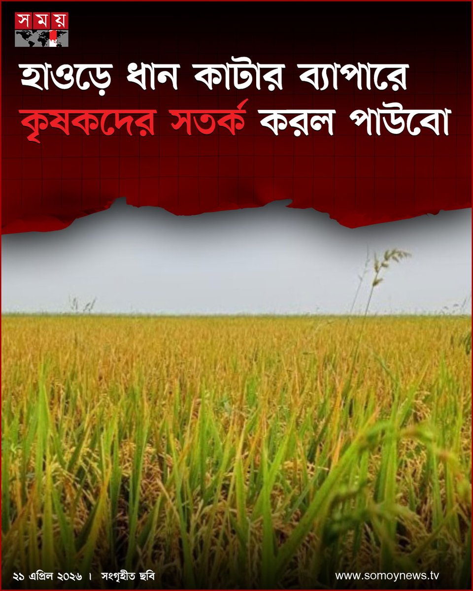 somoytv's tweet image. বাংলাদেশ আবহাওয়া অধিদফতর ও পাউবোর সর্বশেষ তথ্য অনুযায়ী দেশের উত্তর-পূর্বাঞ্চলে নদীর উজান অববাহিকায় বৃষ্টিপাত বৃদ্ধি পাওয়ায় নদীর পানি বাড়ছে। তাই বোরো ধান ৮০ শতাংশ...

#NewsUpdate #news #nationalnews #somoytv

বিস্তারিত:
somoynews.tv/news/2026-04-2…