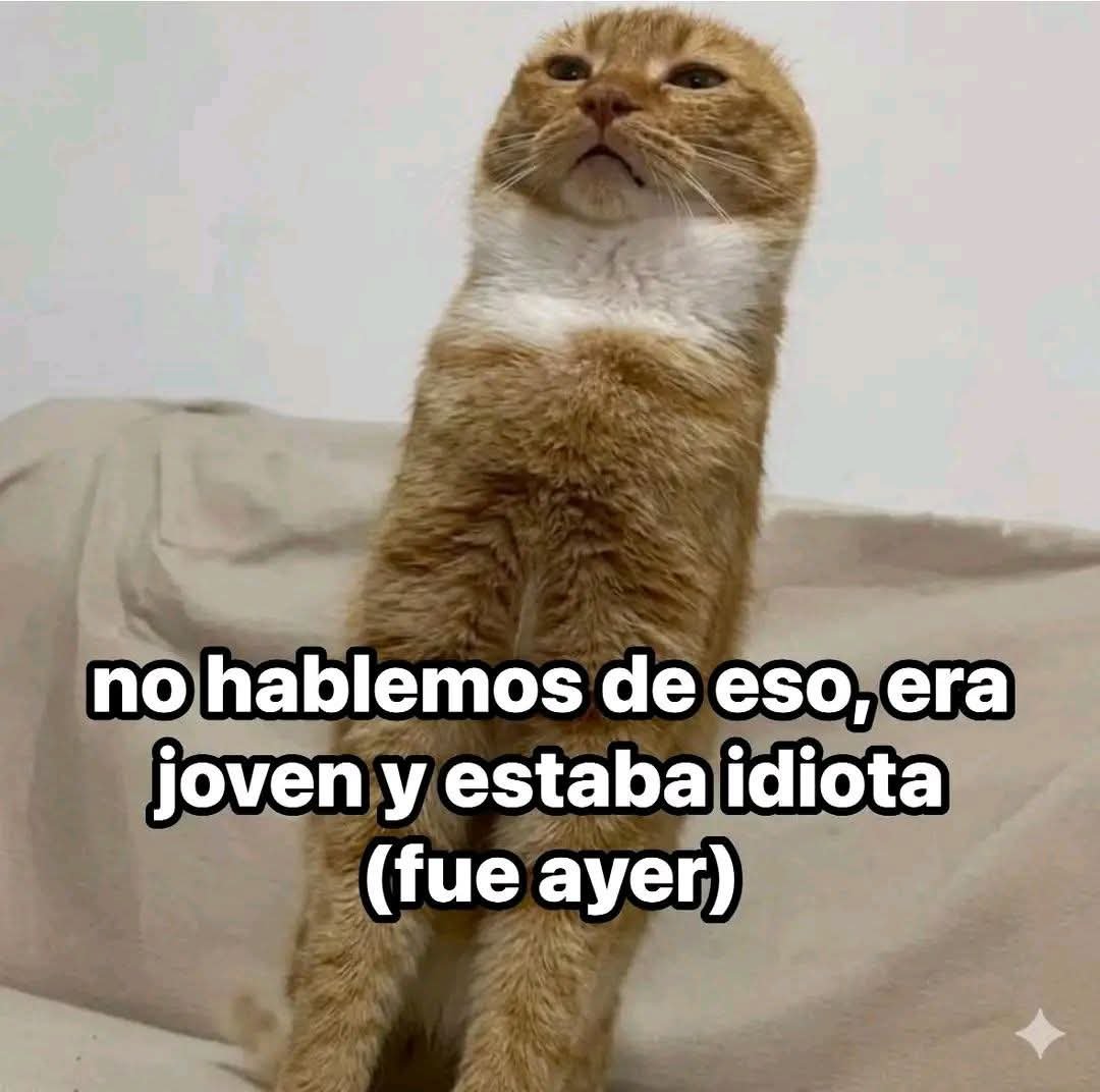 toggle_harp's tweet photo. Conozco a un Administrador de mechón blanco que lo aplica de forma bastante religiosa. https://t.co/kh2elxmThk