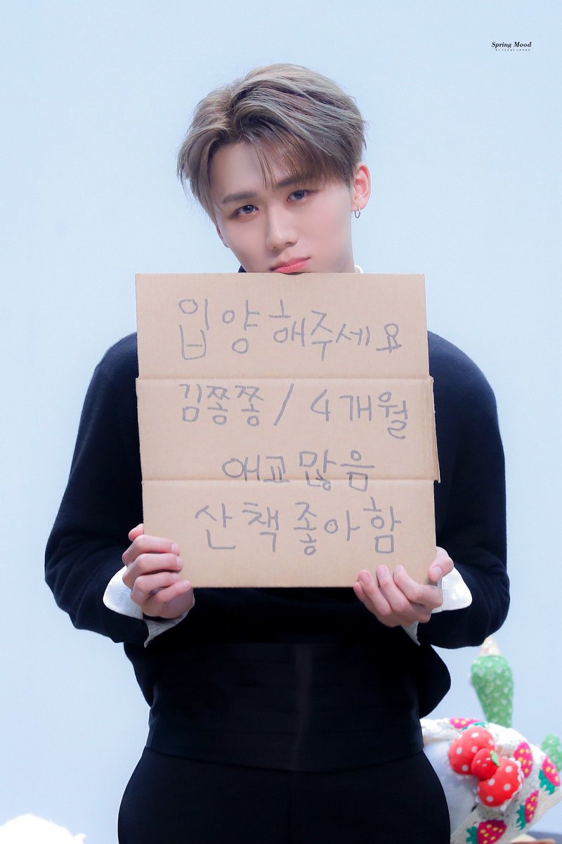 ๐๐ฉ๐ซ๐ข๐ง๐ ๐๐จ๐จ๐ tweet media