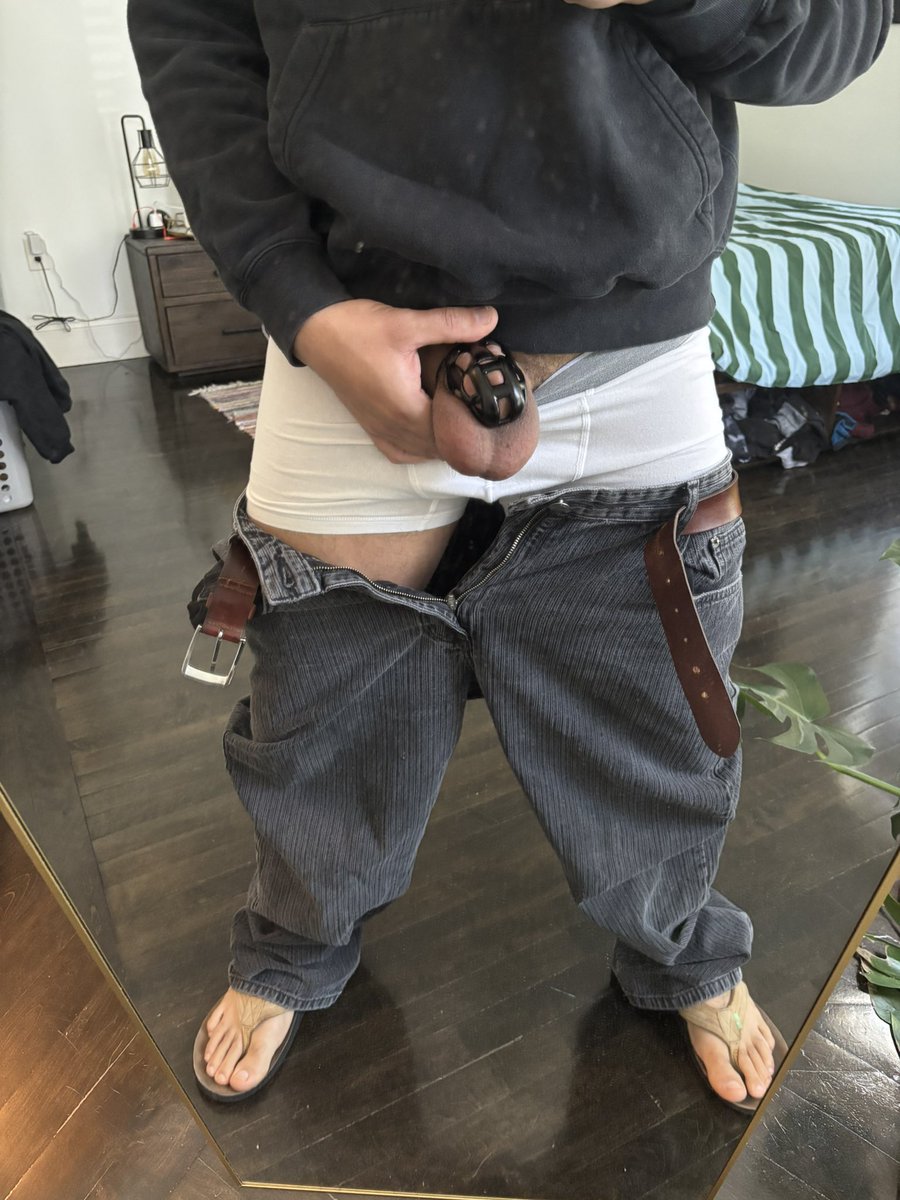 BostonScruffster tweet media