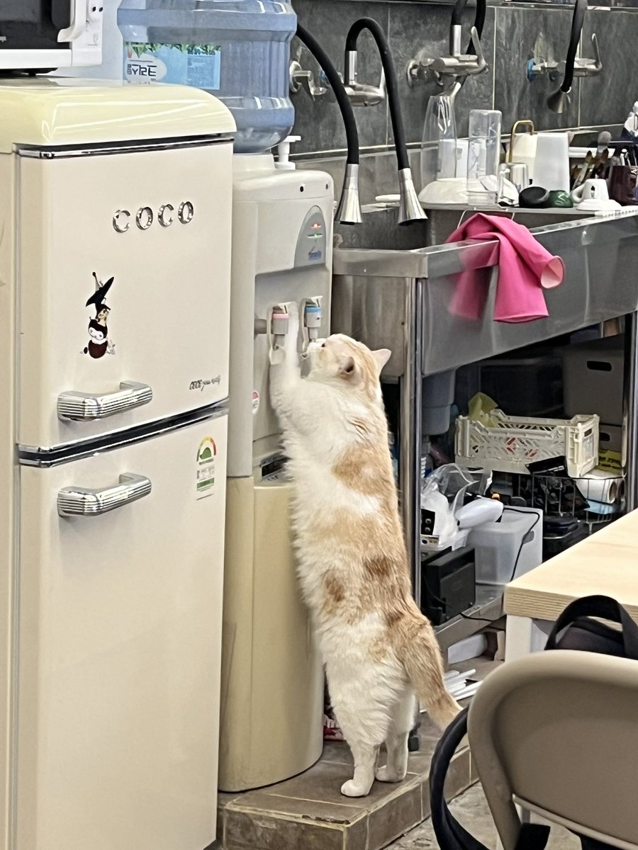 친구 작업실에서 놀라운 것을 목격했는데 친구한테는 비밀로 부쳐두기로 했음.