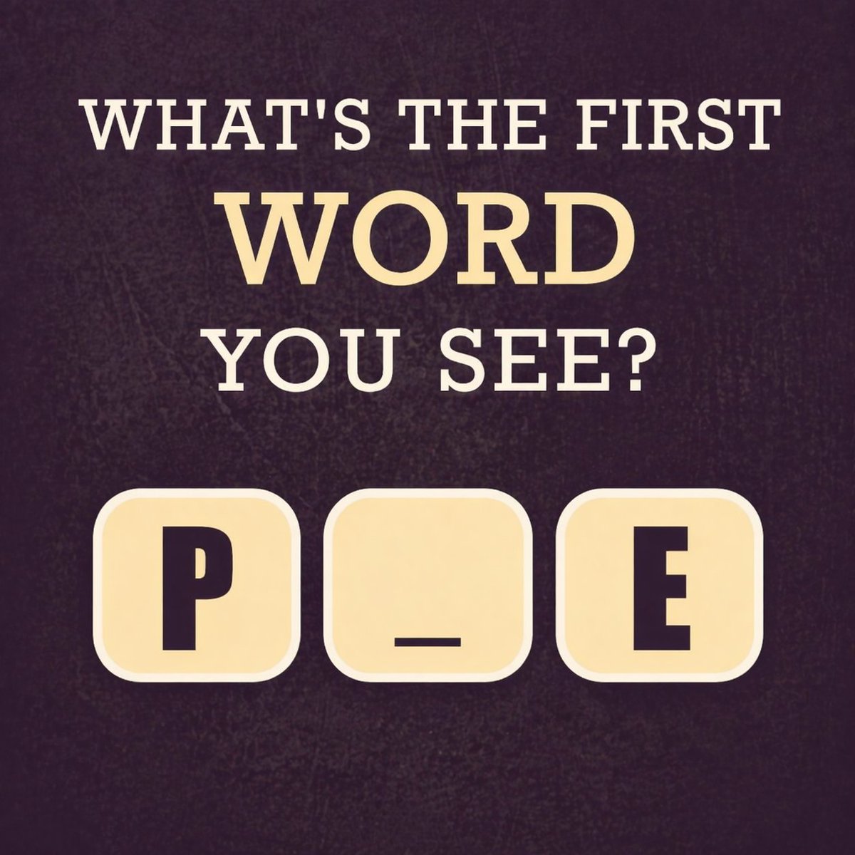 Zara Noor tweet media