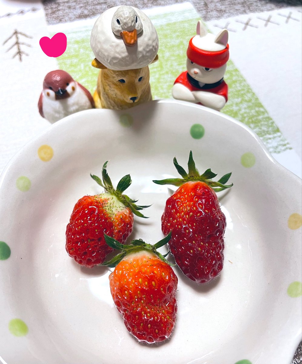 ぷるたすまいる (ONE NIGHT FUCKERs所属) tweet media