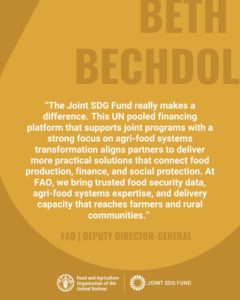 Joint SDG Fund 🇺🇳 tweet media