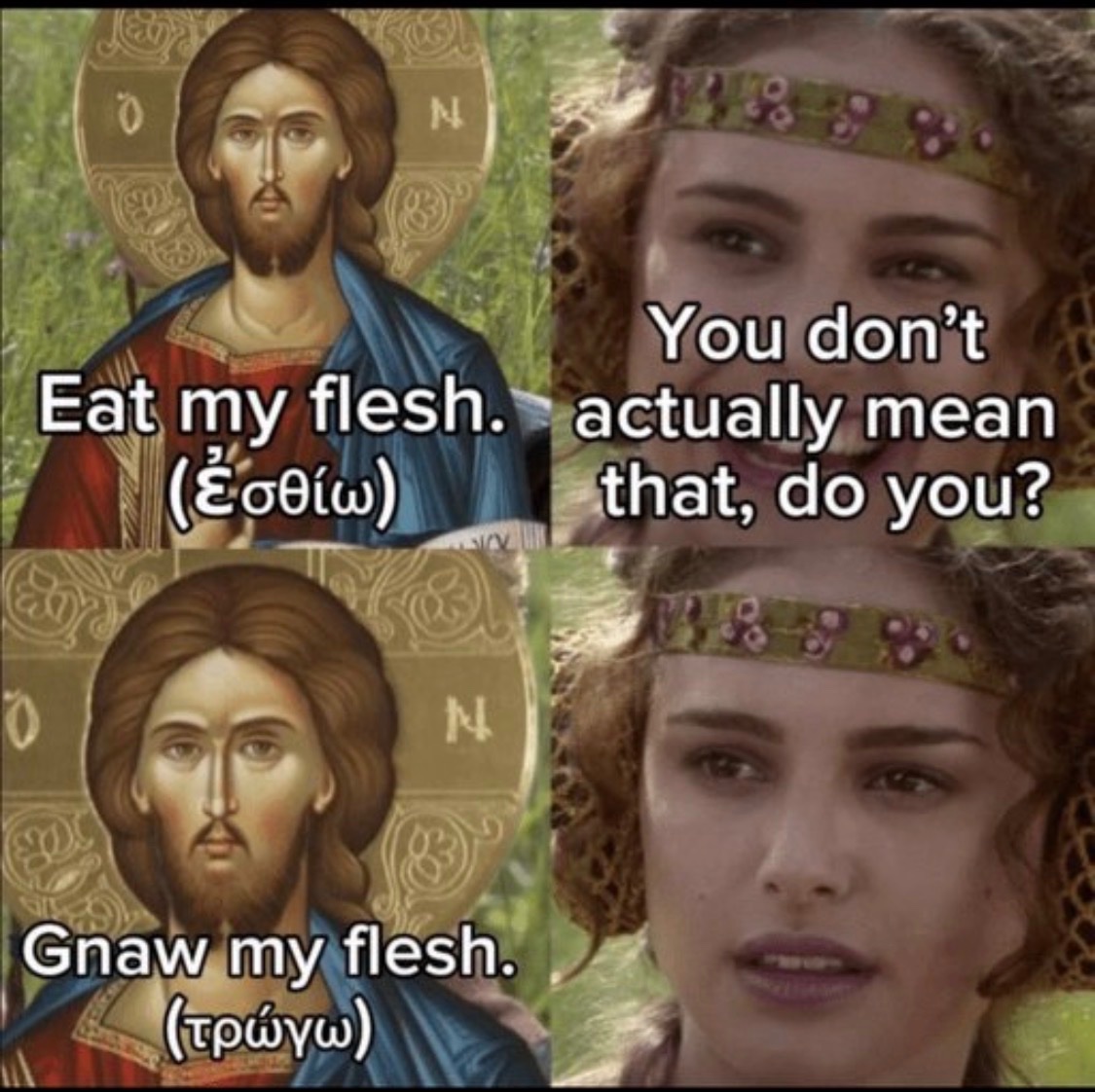 That Catholic Guy 🇻🇦 tweet media