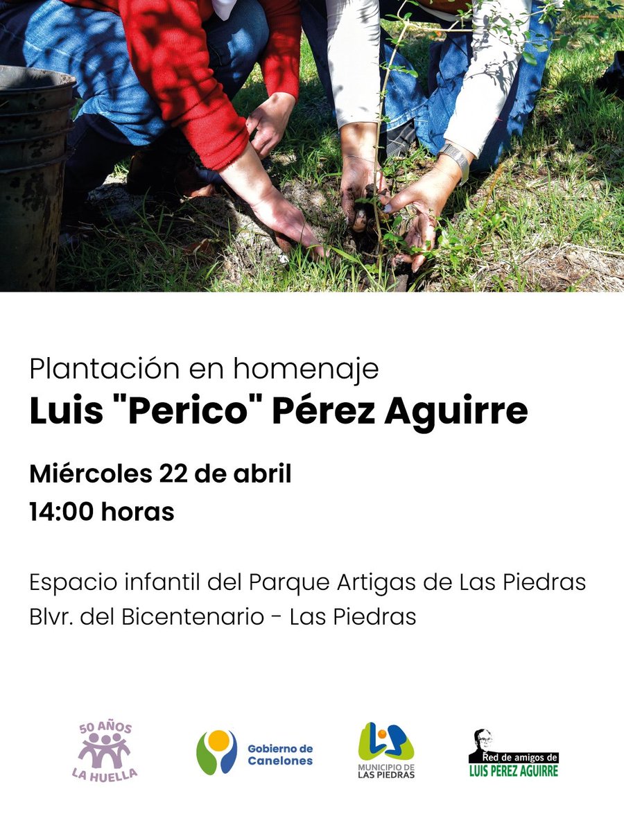 Observatorio del Sur tweet media