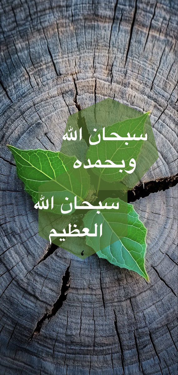 نوال البشري 🇸🇦🌴 tweet media