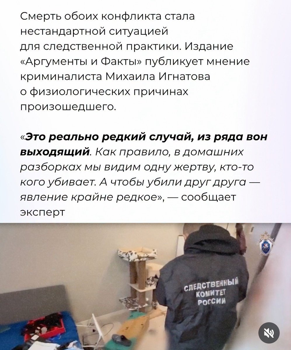 стюра поварешка волкова tweet media