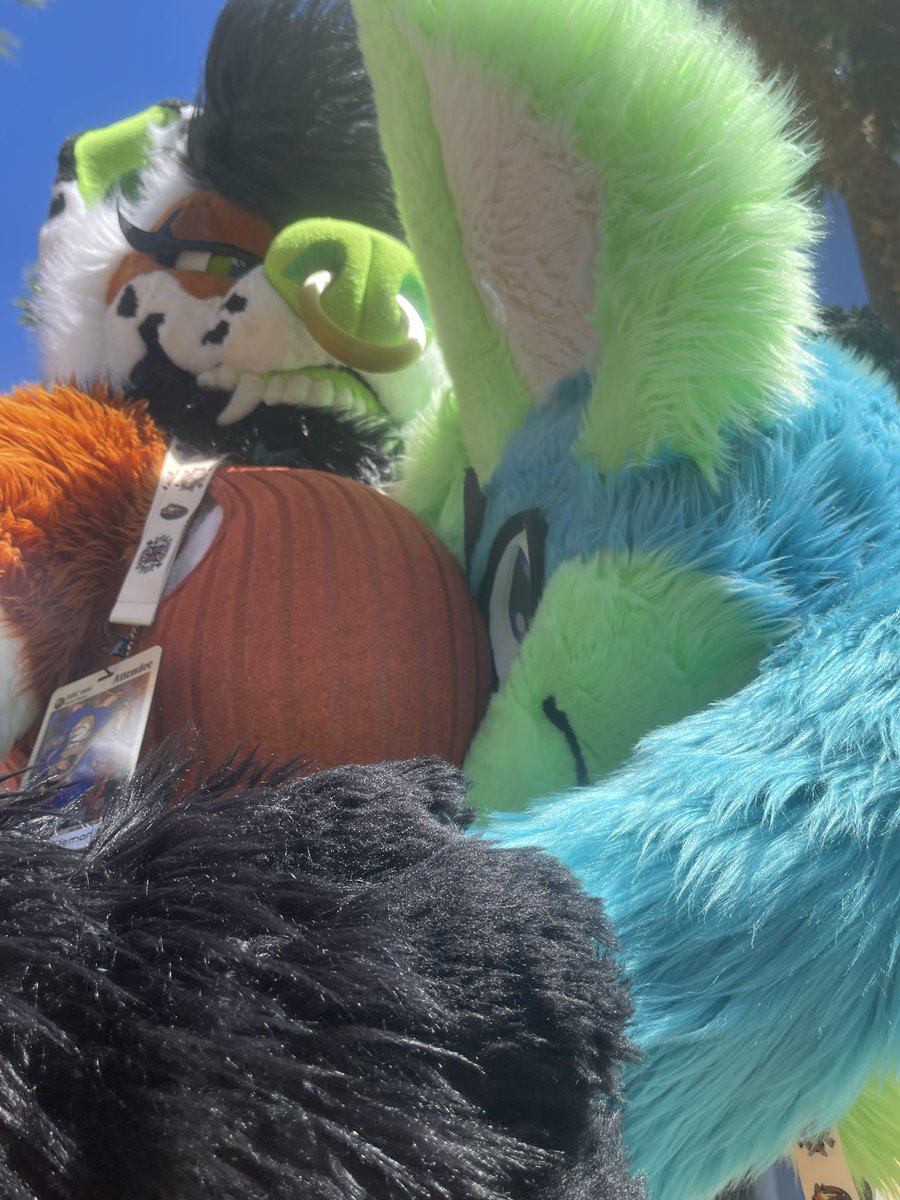 CHARCOAL THE SERGAL🖤 tweet media