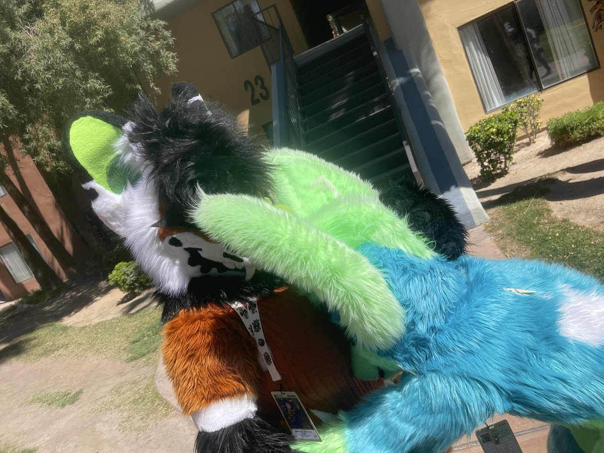 CHARCOAL THE SERGAL🖤 tweet media