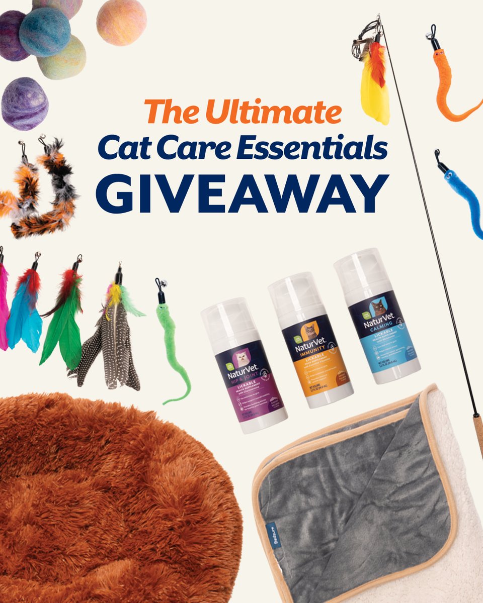NaturVet's tweet image. Gift your cat the fun and pampering they deserve by entering our latest giveaway. You can win curated cat care essentials. Simply:

🔵 Follow @NaturVet 
🔵 DM us your cat's name

Hurry: entries close 5/10!

#NaturVet
#Cats
#CatsLove
#CatsAreLife
#HowPeopleLoveTheirPets

*Giveaway
