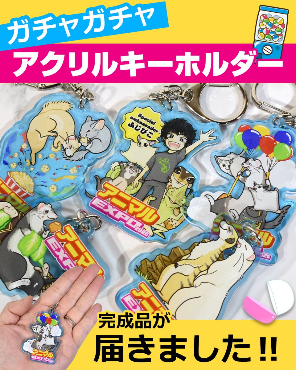 アニマルEXPO2026@5/10開催 tweet media