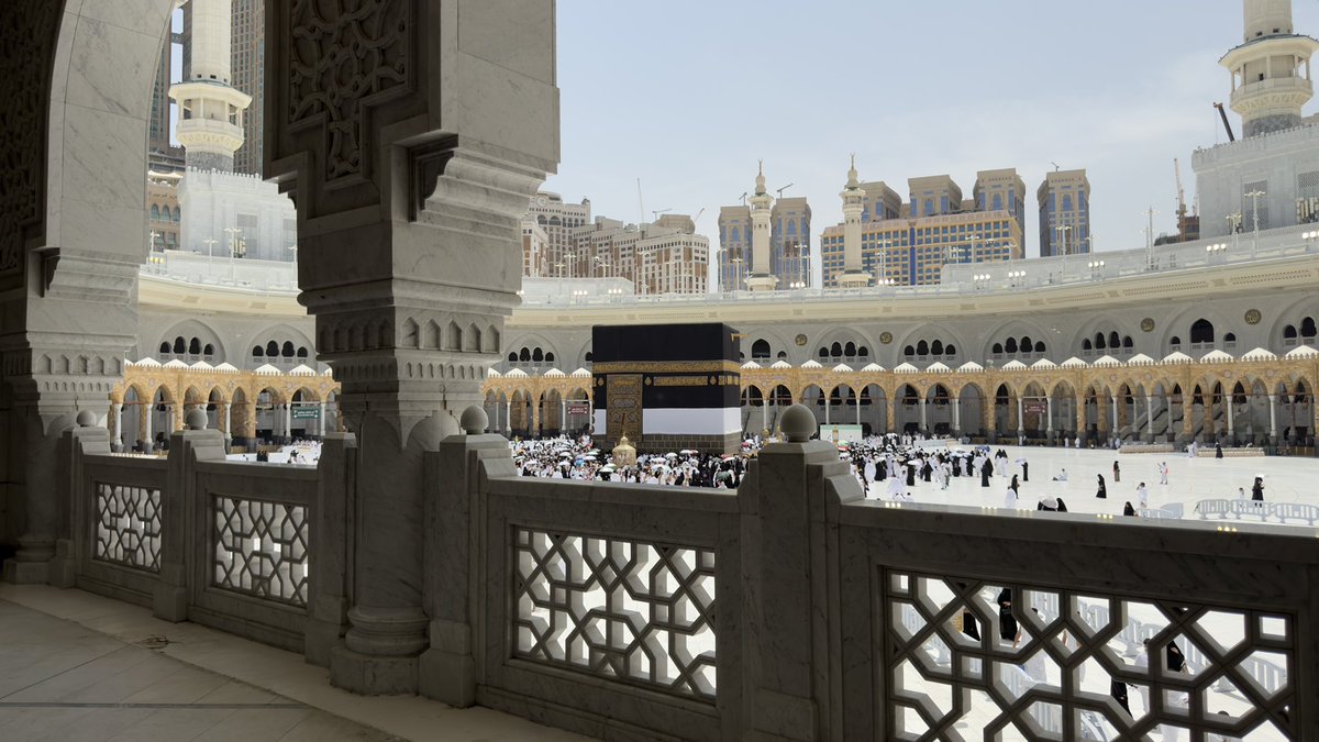 غُصن tweet media