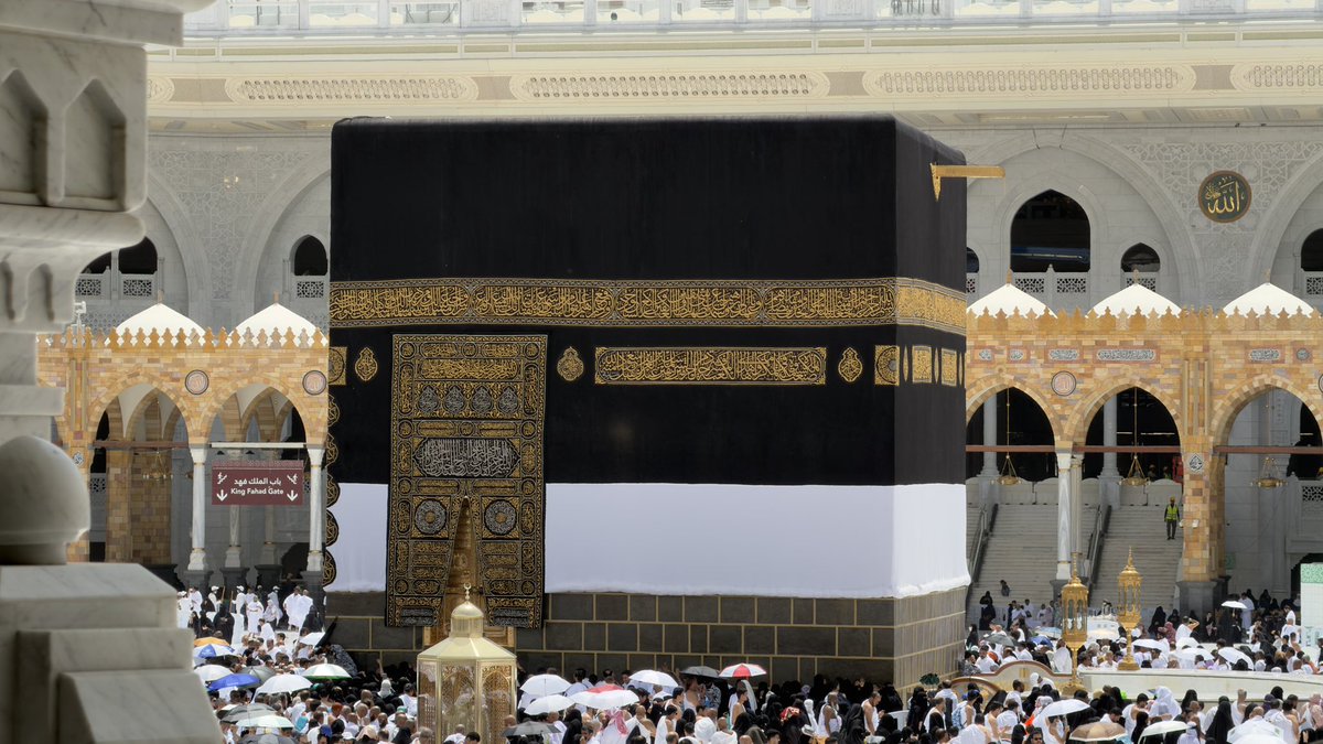 غُصن tweet media