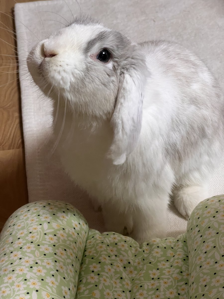 @𝕄𝕚𝕝𝕜𝔸𝕣𝕔𝕙𝕚𝕧𝕖🐰 tweet media