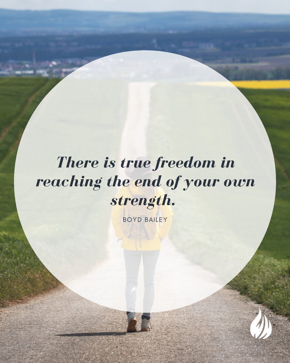 Wisdom Hunters tweet media