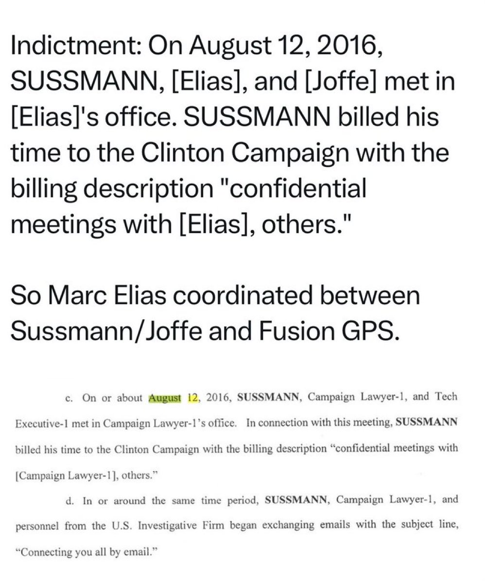 Svetlana Lokhova tweet media