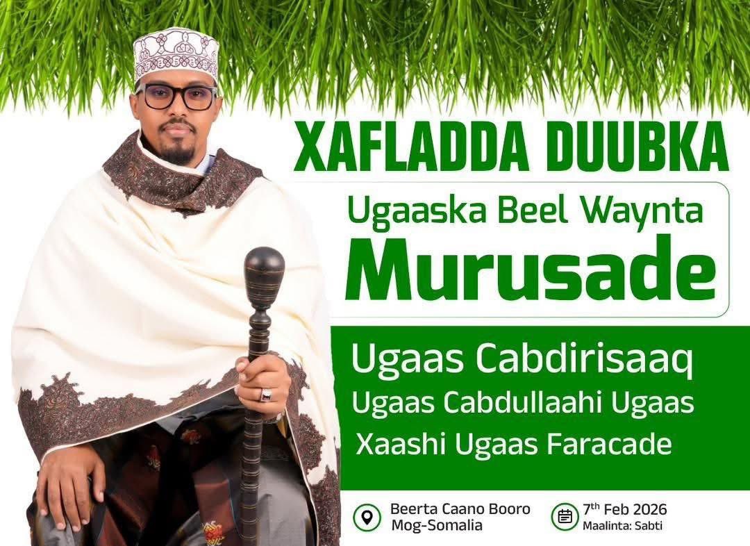 AliSamattar's tweet image. #UPDATE Muqdisho waxaa ka  dhacaaya  Ugaaska Guud ee Beelwaynt Murusade #Ugaas #Cabdirisaaq #Ugaas #Cabdullaahi #Ugaas #Xaashi #Ugaas #Faracade.
Waxaana ka soo qayb galaaya oo loo diray Invitations  Dhammaan Isimada 5ta Soomaaliyeed kuwaas oo hadda ku qulqulaaya Muqdisho.