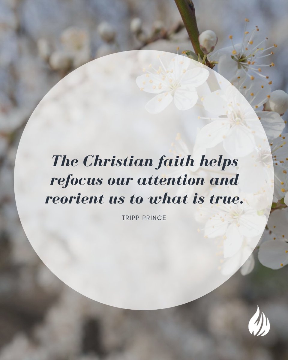 Wisdom Hunters tweet media