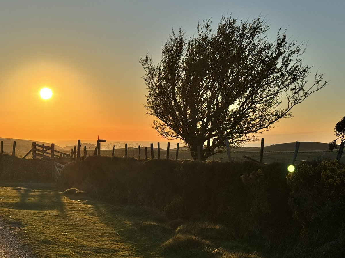 Grumbrela's tweet image. #sunset on Exmoor 🌅

#Exmoor #Devon