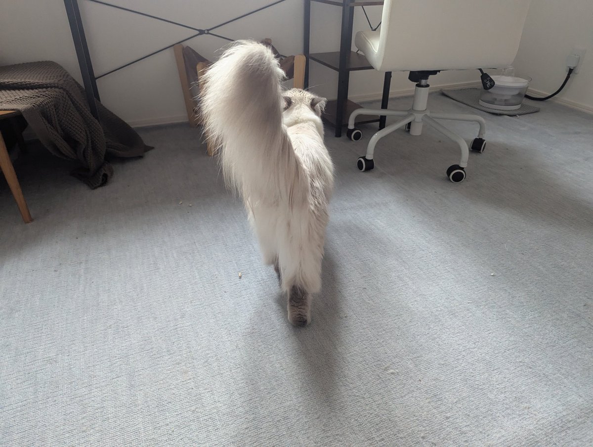 iMSさん tweet media