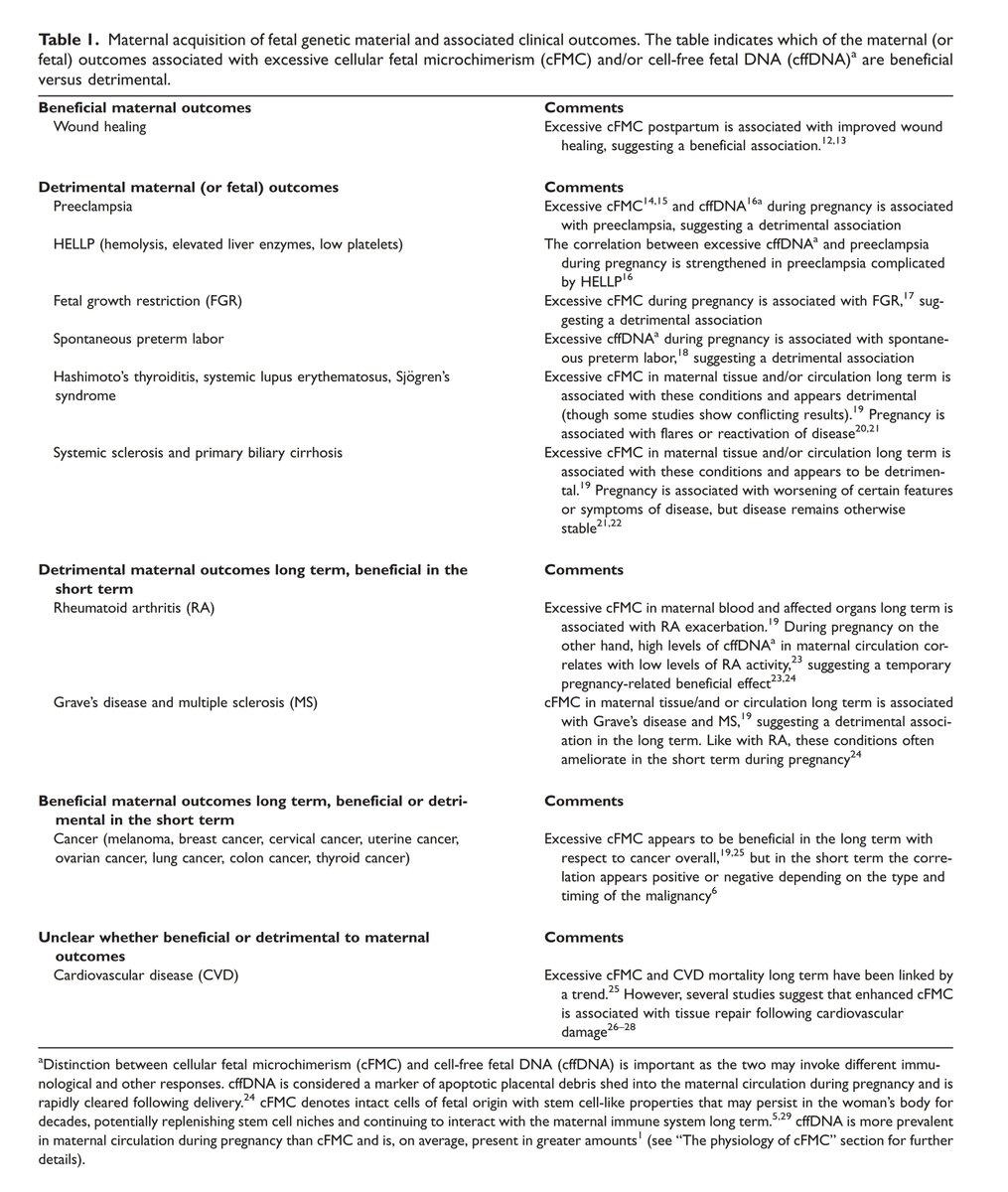 PsikoBilim tweet media