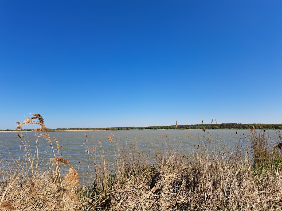 Niet teveel van hetzelfde, dus geen bos en heide maar de Oostvaardersplassen. Wind om de oren en klotsen van water.