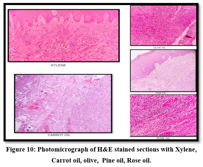 biotech_asia's tweet image. Rethinking histology with safer alternatives 

Read the Article here: dx.doi.org/10.13005/bbra/…

#Histology #TissueProcessing #LaboratoryScience #EcoFriendly #BiomedicalResearch #SustainableScience #Pathology #ResearchInnovation #biosciences #Nanoparticles #Science #NanoScience