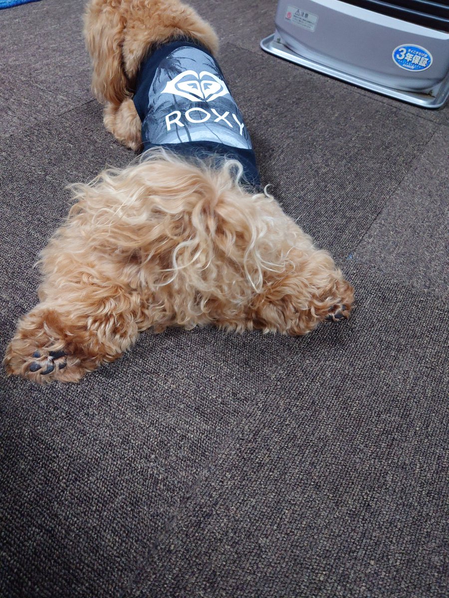 あうぐ tweet media