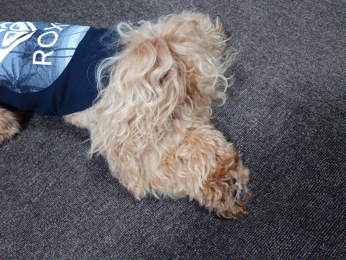 あうぐ tweet media