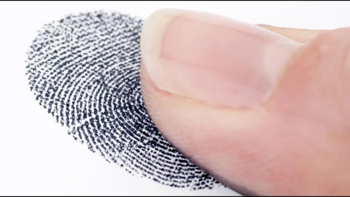 محمد المقالح -الحكيم tweet media