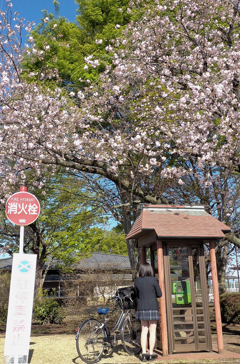 かさねつぐ tweet media