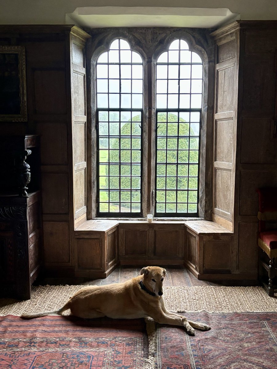 Gwydir Castle tweet media