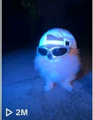 pomkori's tweet photo. In one day, we have over 2,000,000 views on our newest video!

We are always viral ;) https://t.co/dj9fHCuG6n