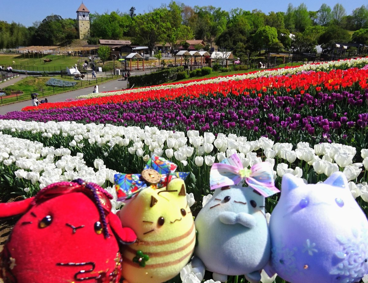 🐼shima🦊🐰 tweet media