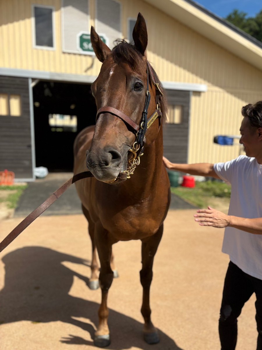 donfrankie

可愛いドンちゃん🐴どーぞ！✨😁

#ドンフランキー